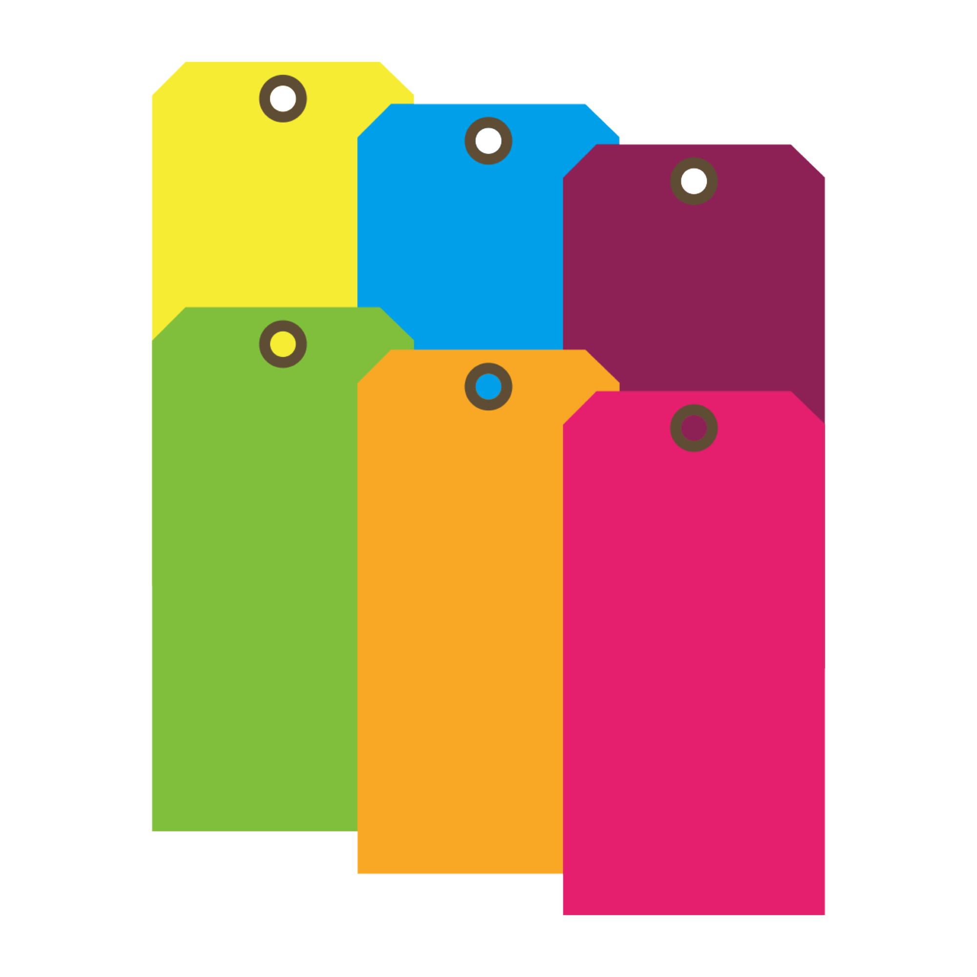 Fluorescent Color Coded Cardstock Tags 6 2 5/8 x 5 1/4 Fluorescent Carlton Industries