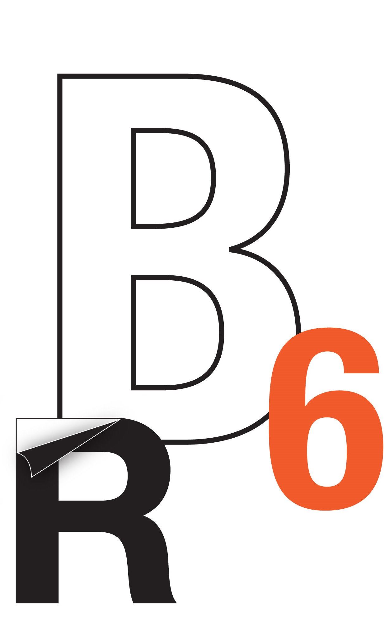 Reflective Die Cut Vinyl Letters/Numbers12 Inch Orange PK/5