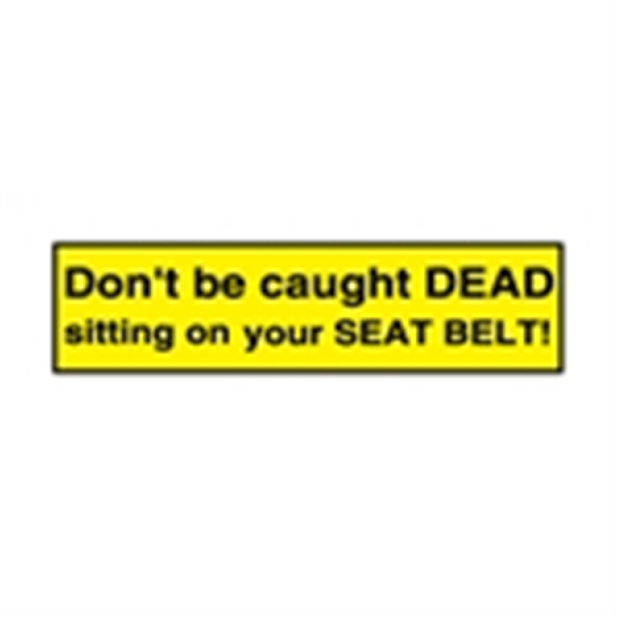 Seat Belt Decals Don't Be Caught Dead Sitting On Your Seat Belt! 4 x