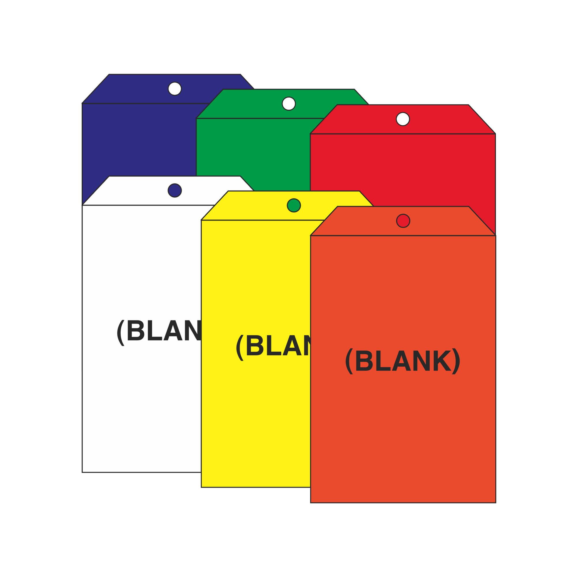 Colorful Blank SelfLaminating Vinyl Tags 5 x 8 Carlton Industries