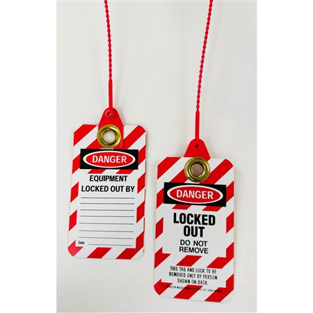 Lifeguard Tags - Locked Out Do Not Remove 3 1/8 x 5 5/8