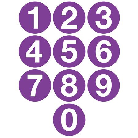 Jumbo Number Printed Labels - 4" Purple