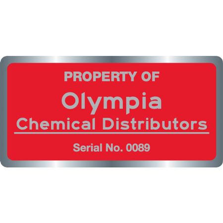 Custom Silver Polyester Decals - Matte Finish - 2" x 4"