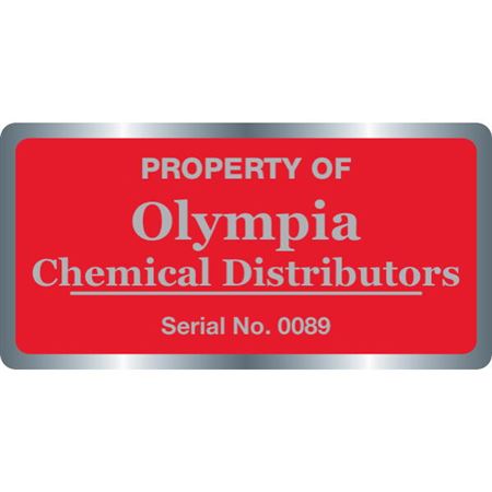 Custom Silver Polyester Decals - Chrome Finish - 2" x 4"