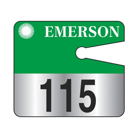 Custom Rearview Mirror Hanging Tags 3 1/2 x 4 Reflective