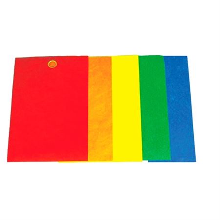 Blank Tyvek Tags 2 3/8 x 4 3/4