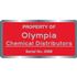 Custom Silver Polyester Decals - Matte Finish - 2" x 4"