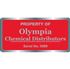 Custom Silver Polyester Decals - Chrome Finish - 2" x 4"